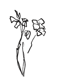 decoration